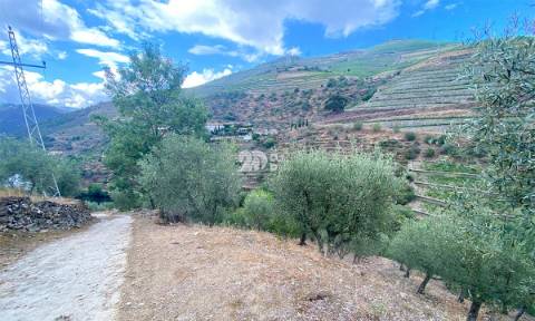 Terreno 12.600m² - Santo Aleixo