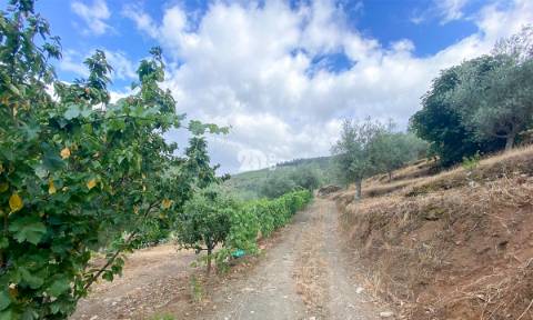 Terreno 12.600m² - Santo Aleixo