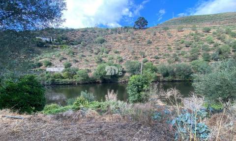 Terreno 12.600m² - Santo Aleixo