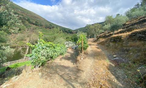 Terreno 12.600m² - Santo Aleixo