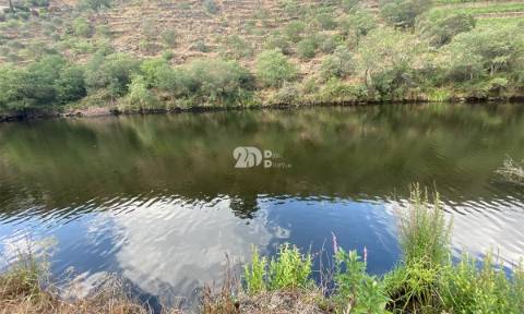 Terreno 12.600m² - Santo Aleixo