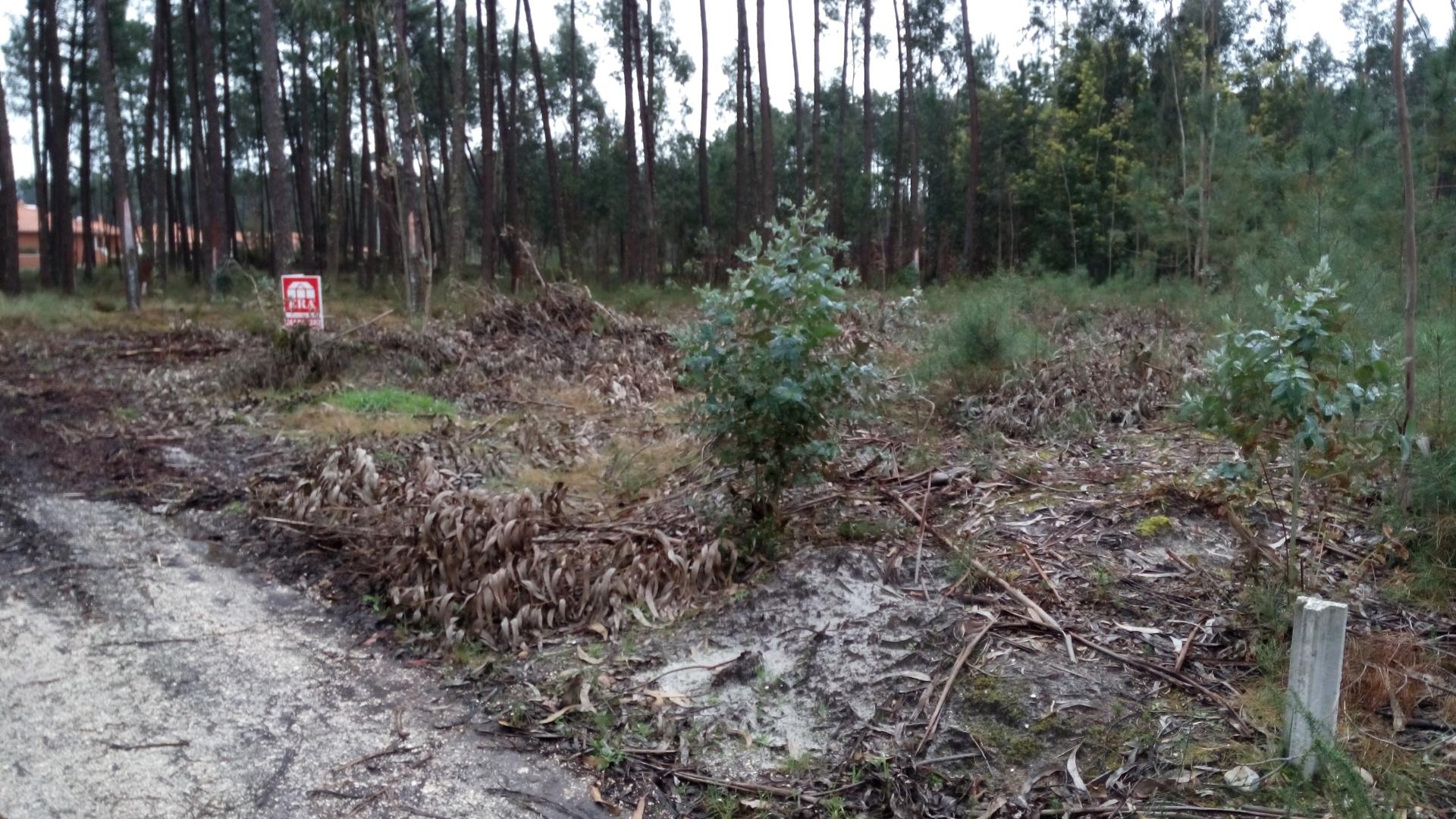 Terreno  Venda em Coimbrão,Leiria