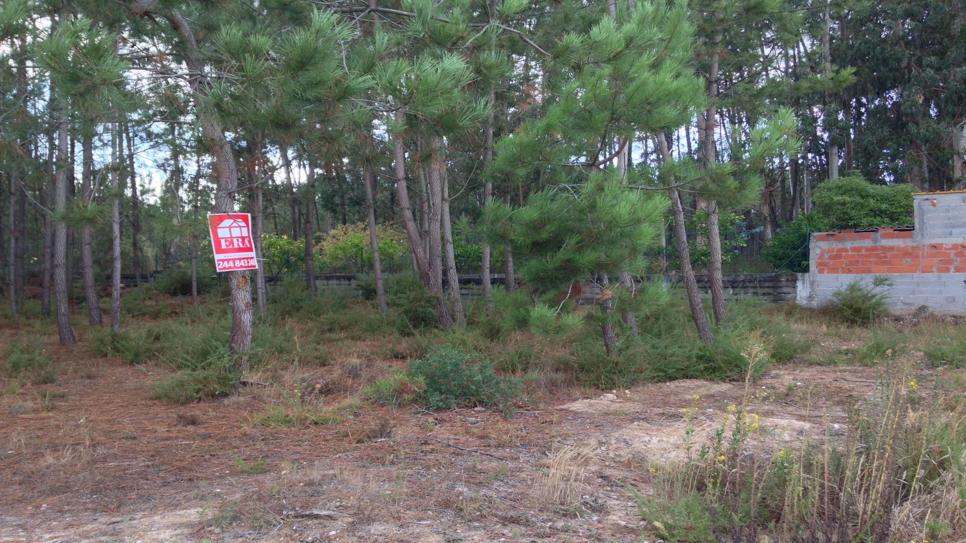 Terreno  Venda em Monte Real e Carvide,Leiria