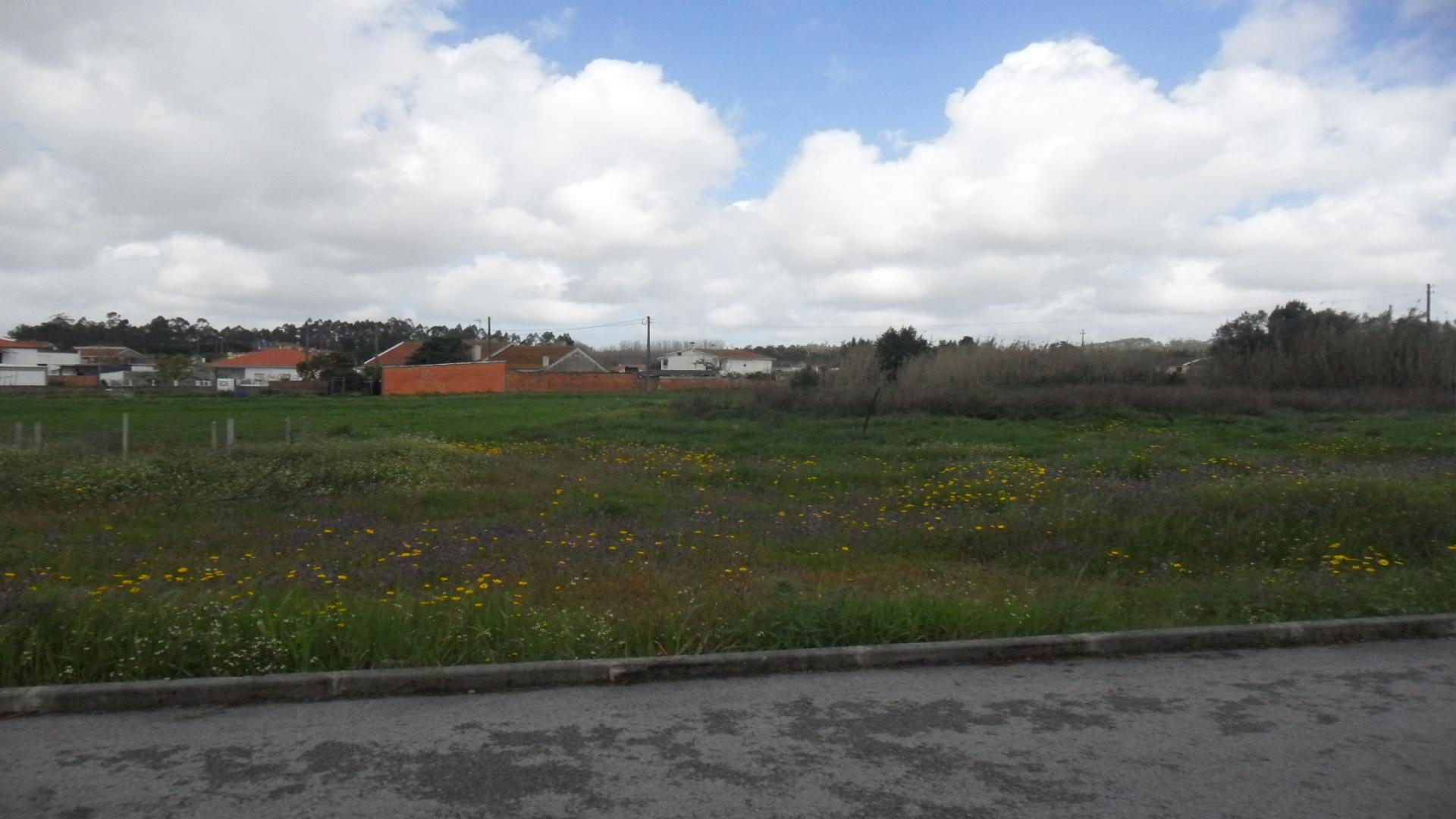 Terreno  Venda em Regueira de Pontes,Leiria