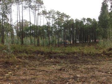 Lote Industrial  Venda em Souto da Carpalhosa e Ortigosa,Leiria