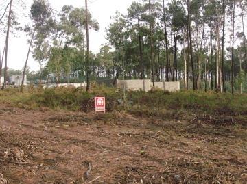 Lote Industrial  Venda em Souto da Carpalhosa e Ortigosa,Leiria