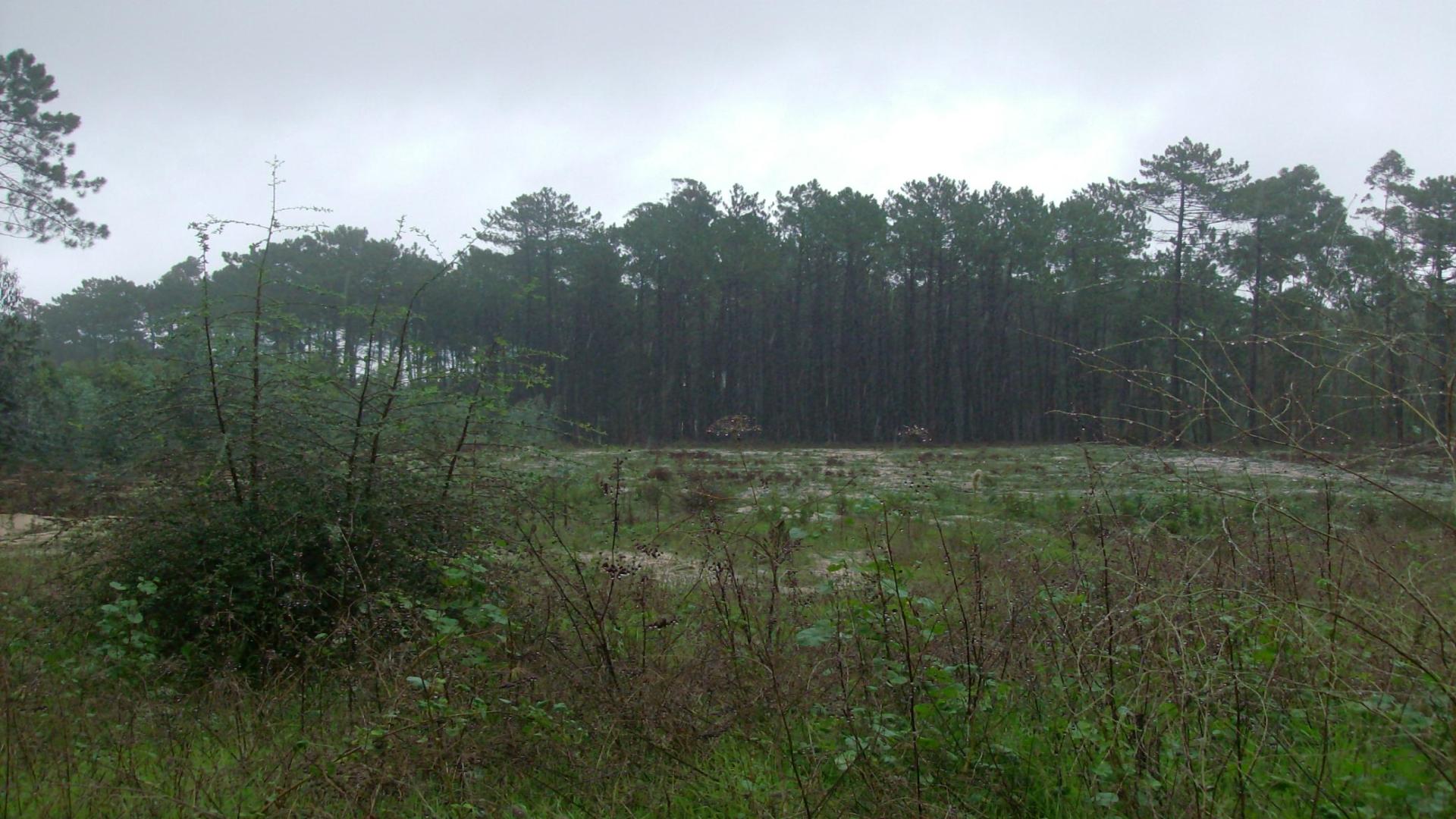 Terreno  Venda em Souto da Carpalhosa e Ortigosa,Leiria