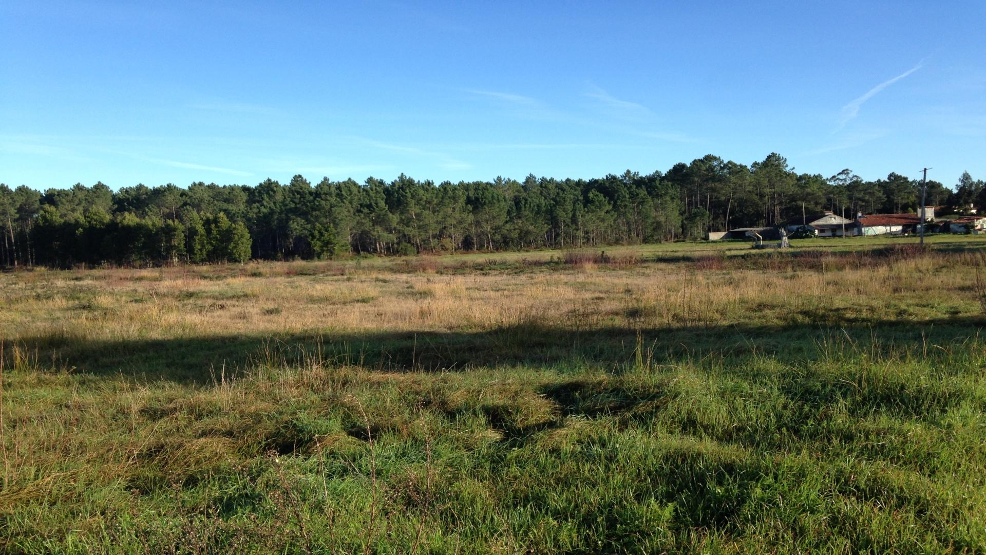 Terreno  Venda em Marinha Grande,Marinha Grande