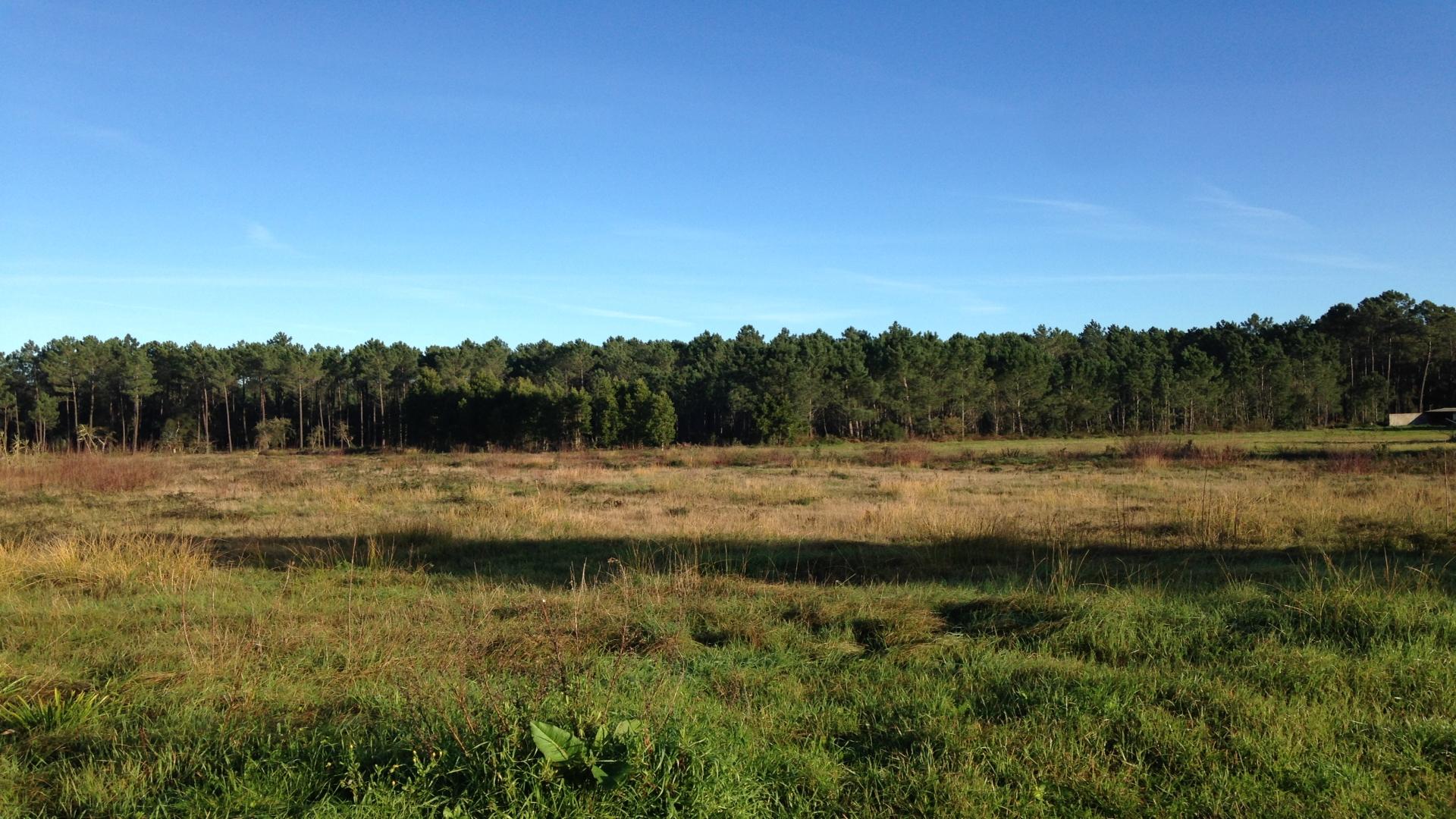 Terreno  Venda em Marinha Grande,Marinha Grande