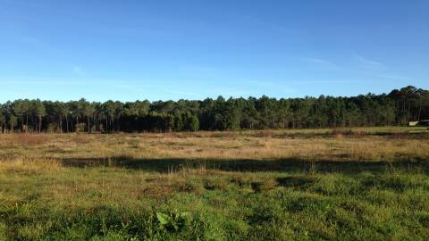 Terreno  Venda em Marinha Grande,Marinha Grande