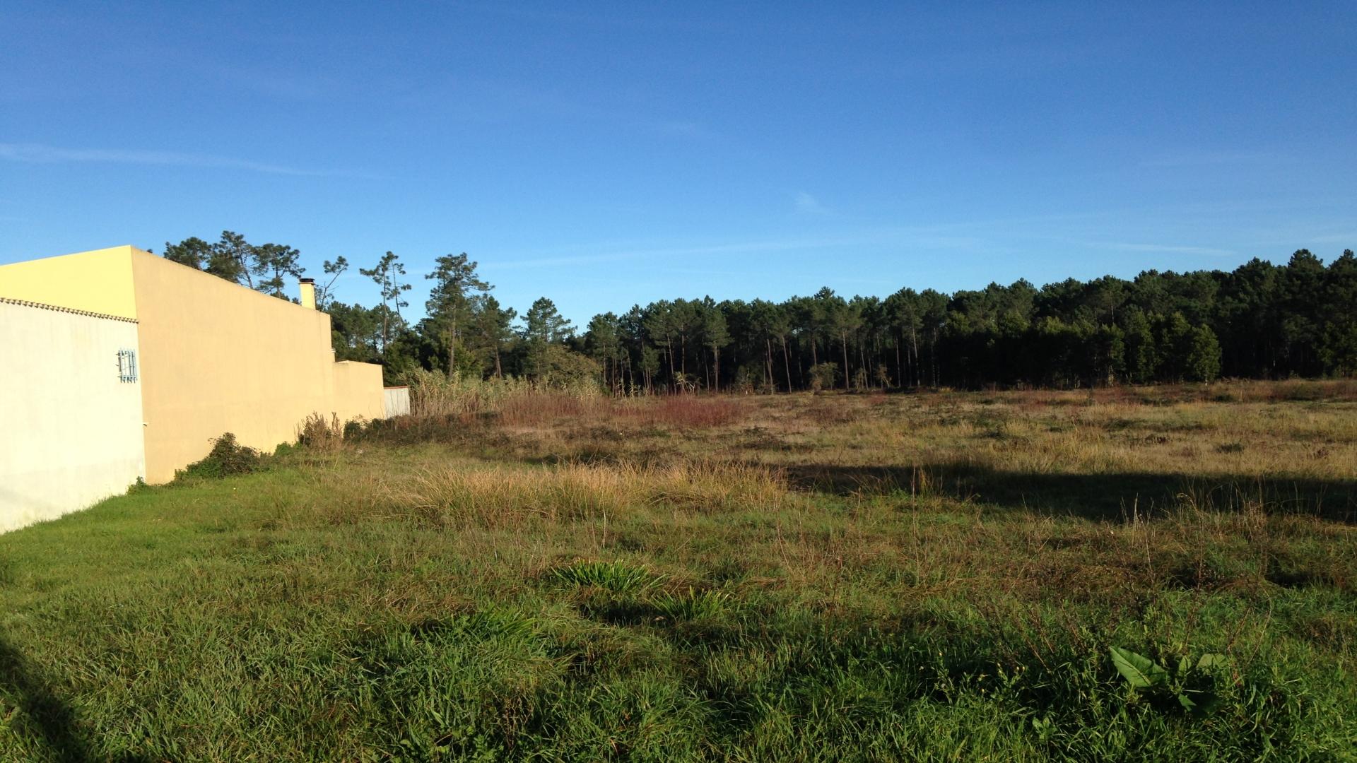 Terreno  Venda em Marinha Grande,Marinha Grande