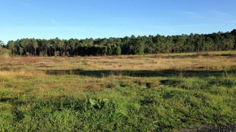 Terreno  Venda em Marinha Grande,Marinha Grande