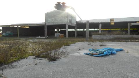 Terreno  Venda em Marrazes e Barosa,Leiria