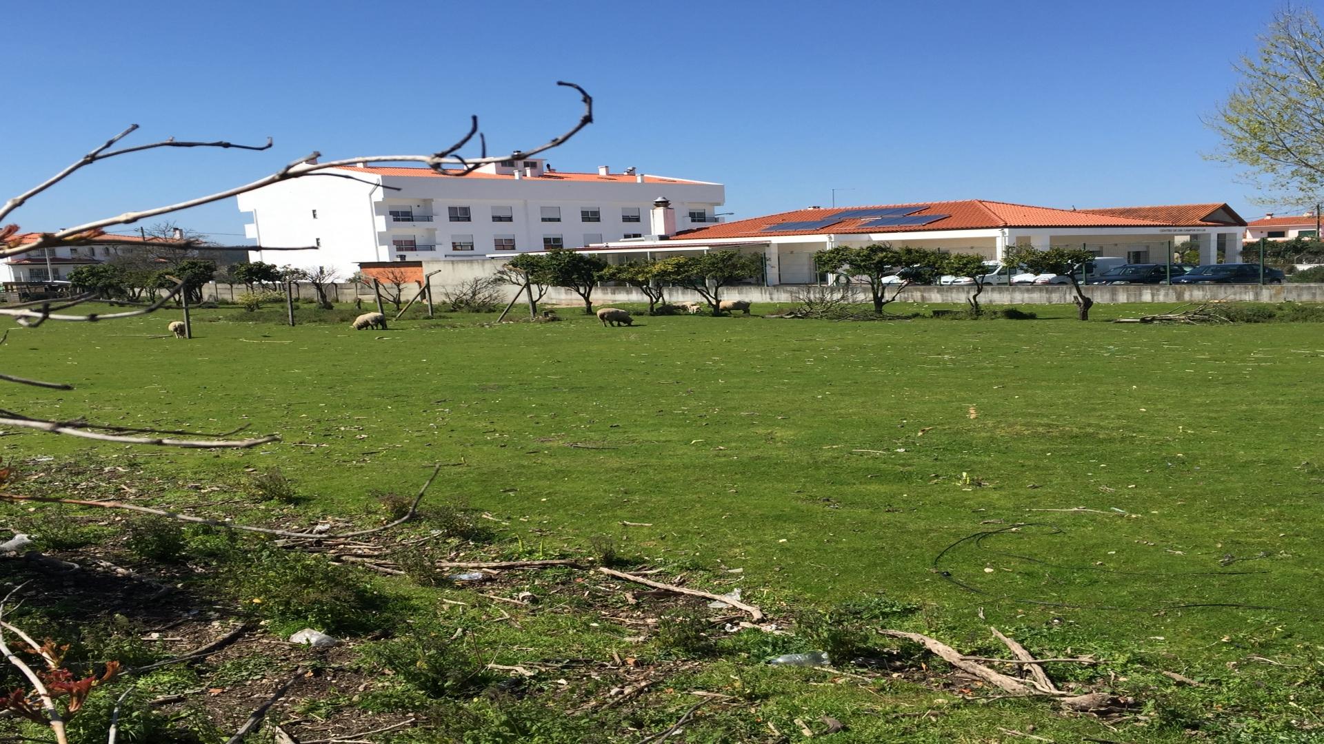 Lote de Terreno  Venda em Marrazes e Barosa,Leiria