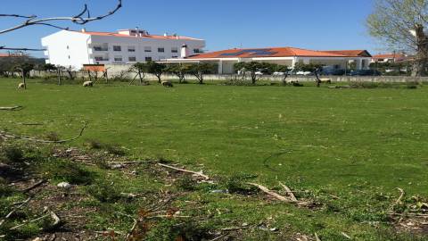 Lote de Terreno  Venda em Marrazes e Barosa,Leiria