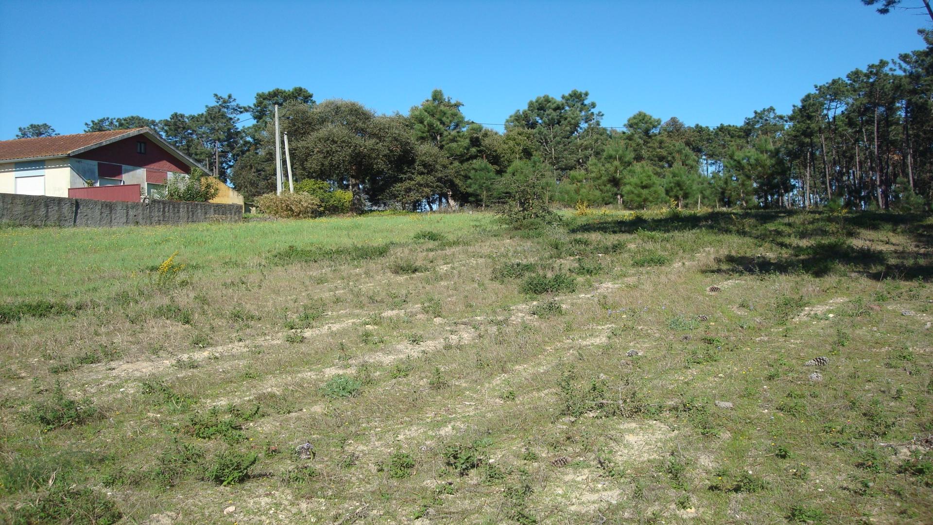 Terreno  Venda em Souto da Carpalhosa e Ortigosa,Leiria