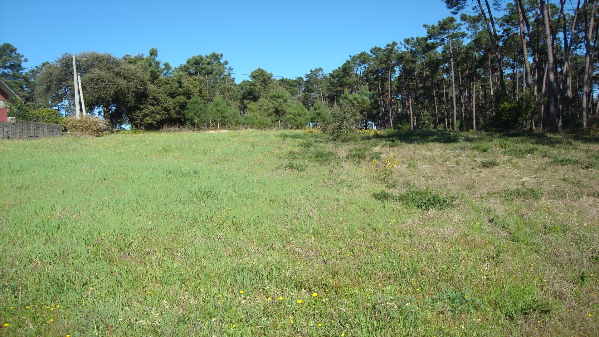 Terreno  Venda em Souto da Carpalhosa e Ortigosa,Leiria