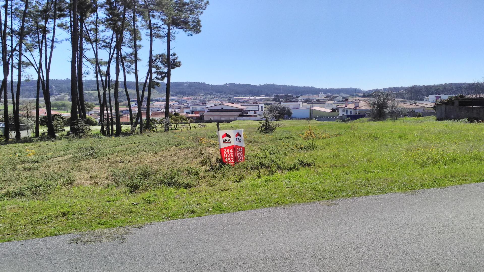 Terreno  Venda em Souto da Carpalhosa e Ortigosa,Leiria