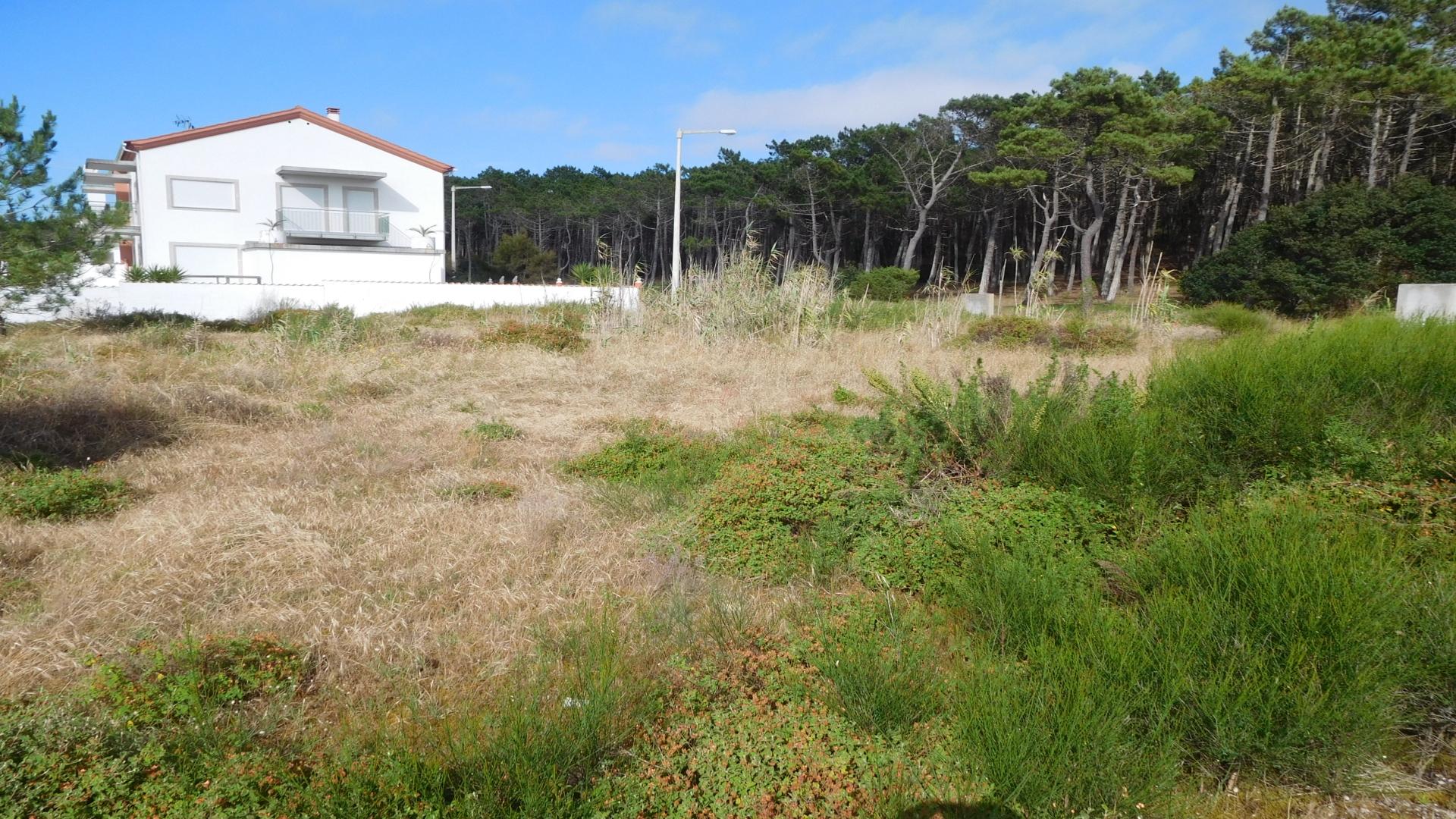 Lote de Terreno  Venda em Coimbrão,Leiria