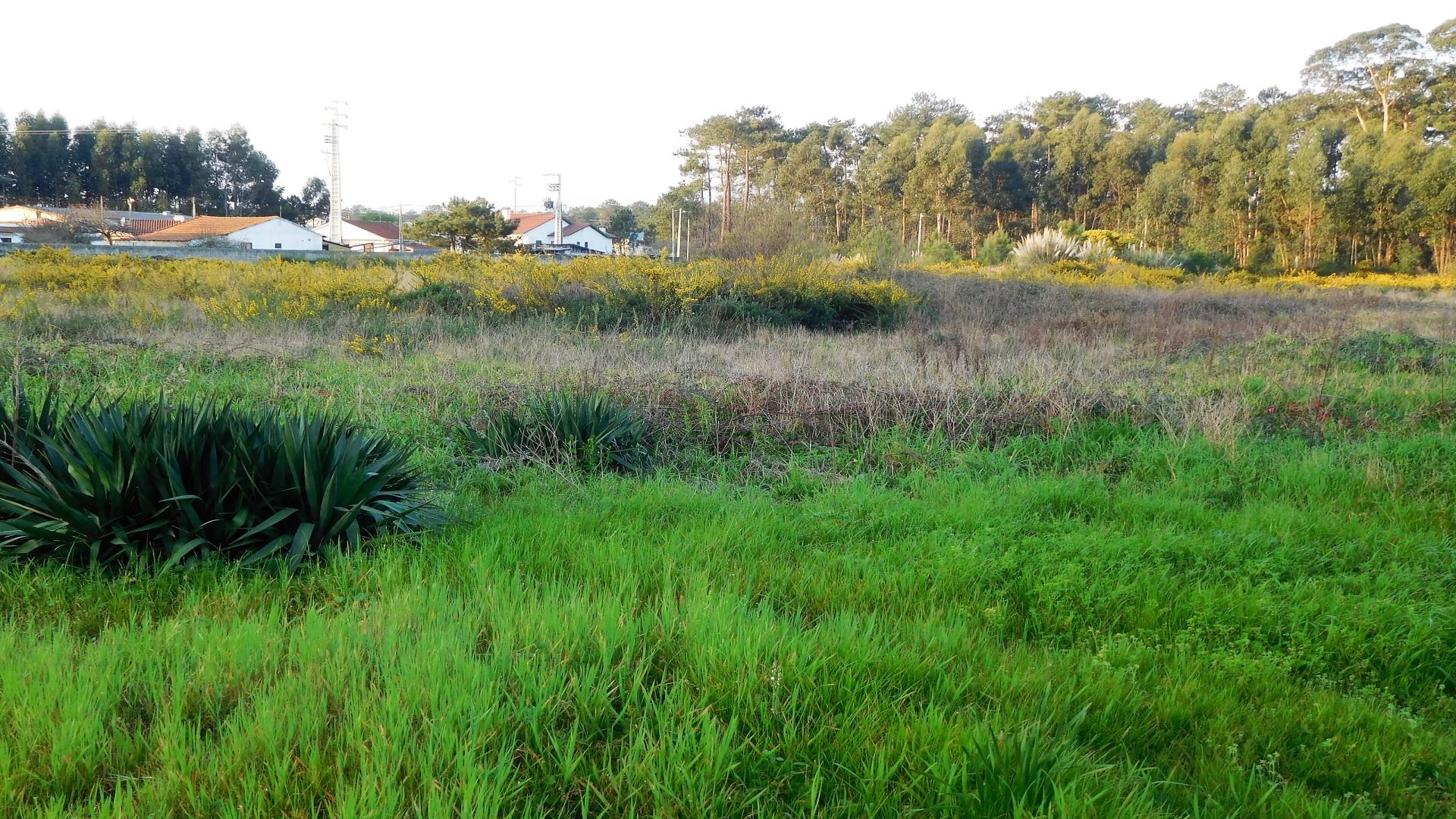 Terreno  Venda em Marinha Grande,Marinha Grande