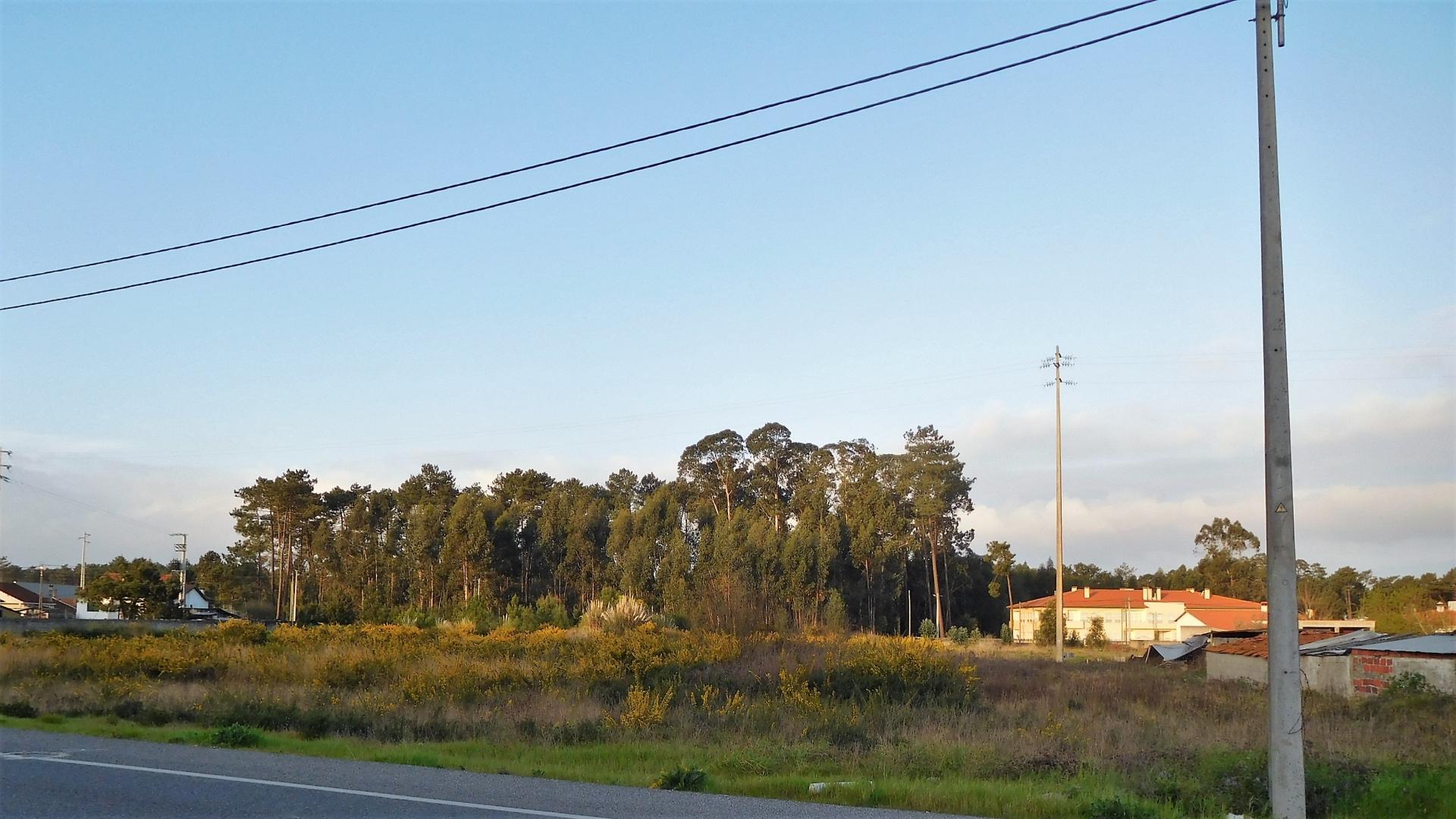 Terreno  Venda em Marinha Grande,Marinha Grande