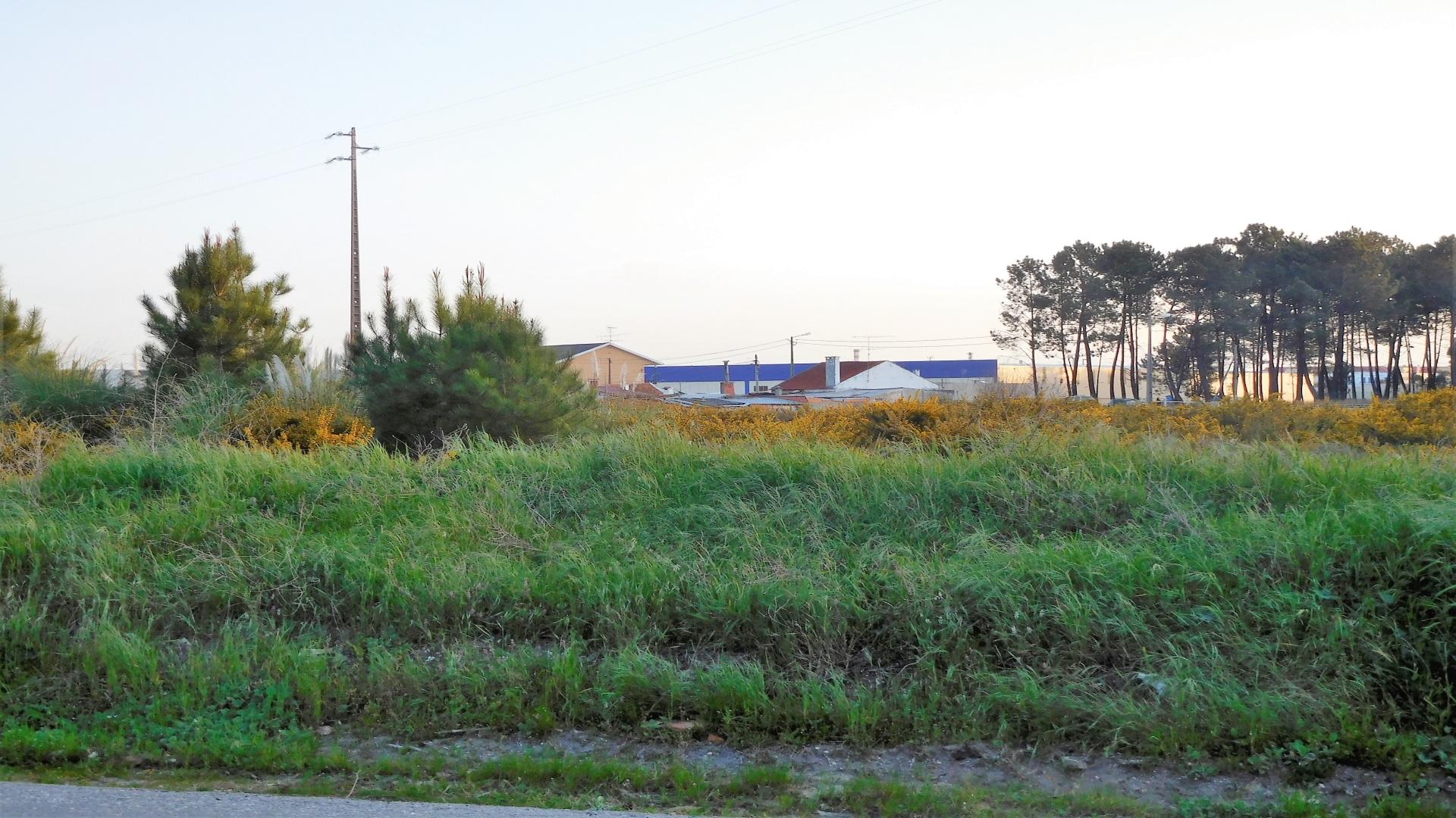 Terreno  Venda em Marinha Grande,Marinha Grande