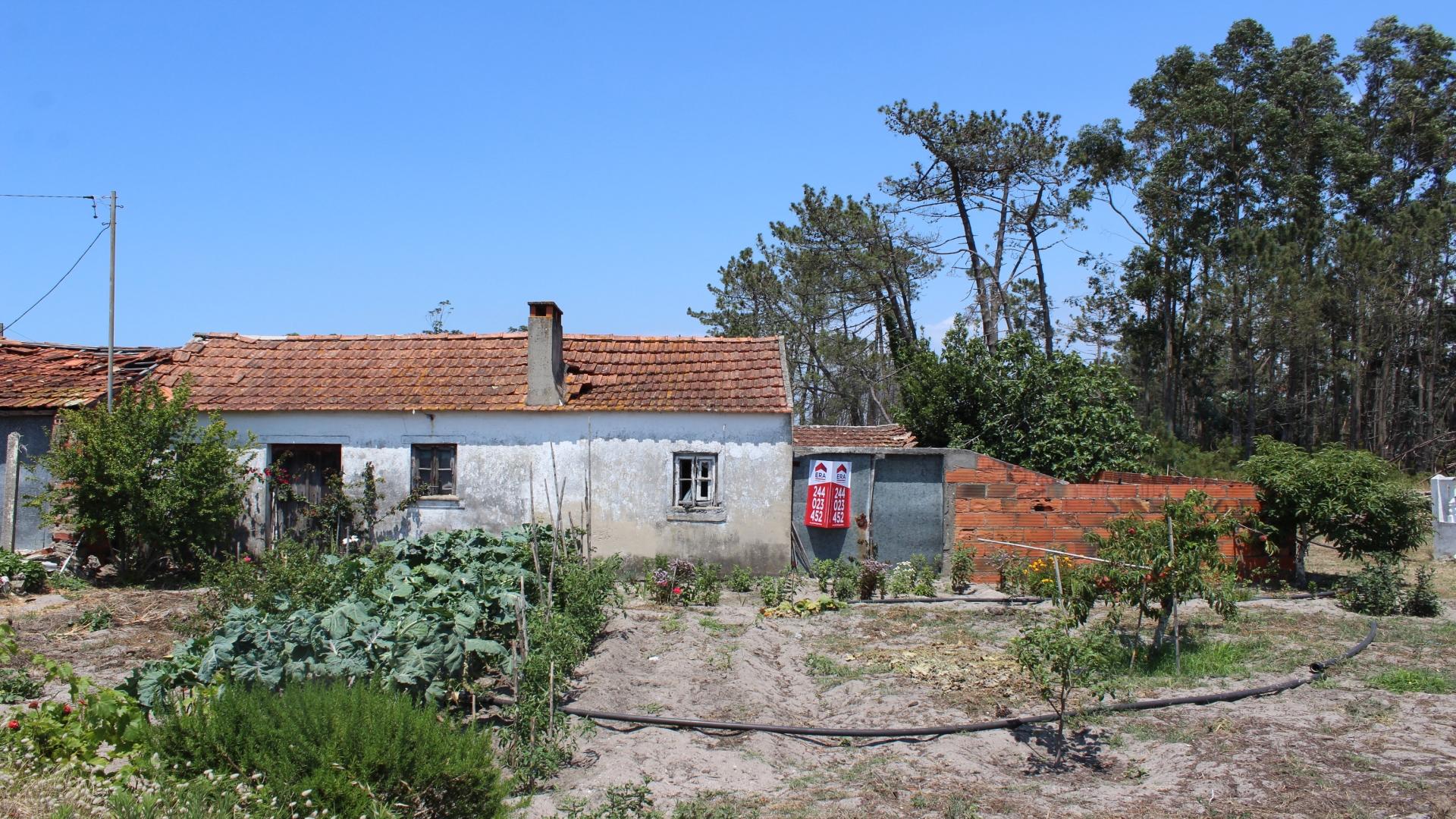 Terreno  Venda em Coimbrão,Leiria