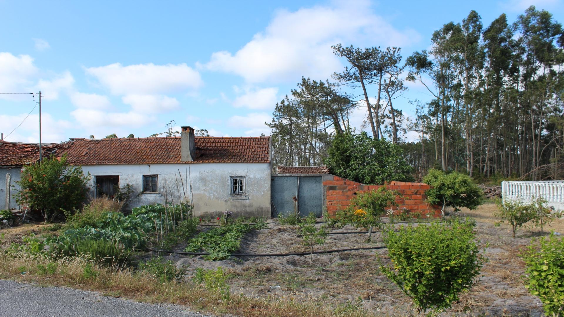 Terreno  Venda em Coimbrão,Leiria