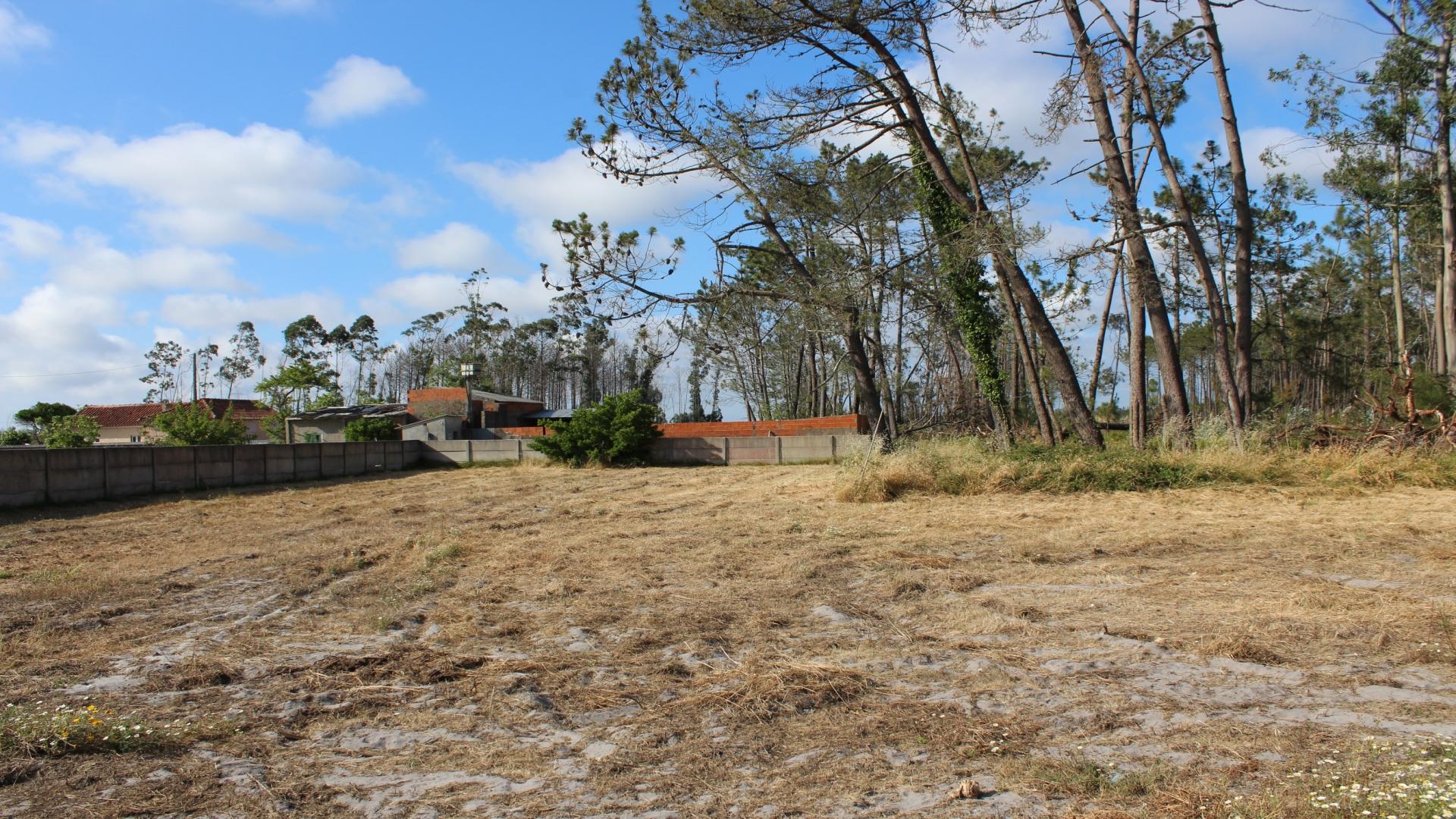 Terreno  Venda em Coimbrão,Leiria