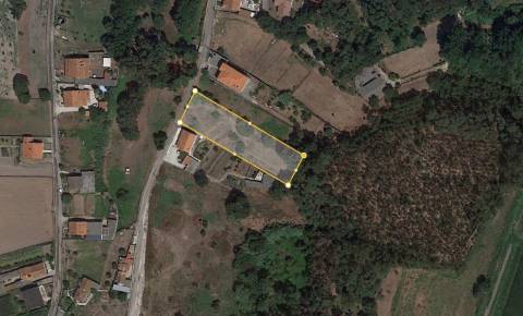 Terreno / Monte Real / Leiria