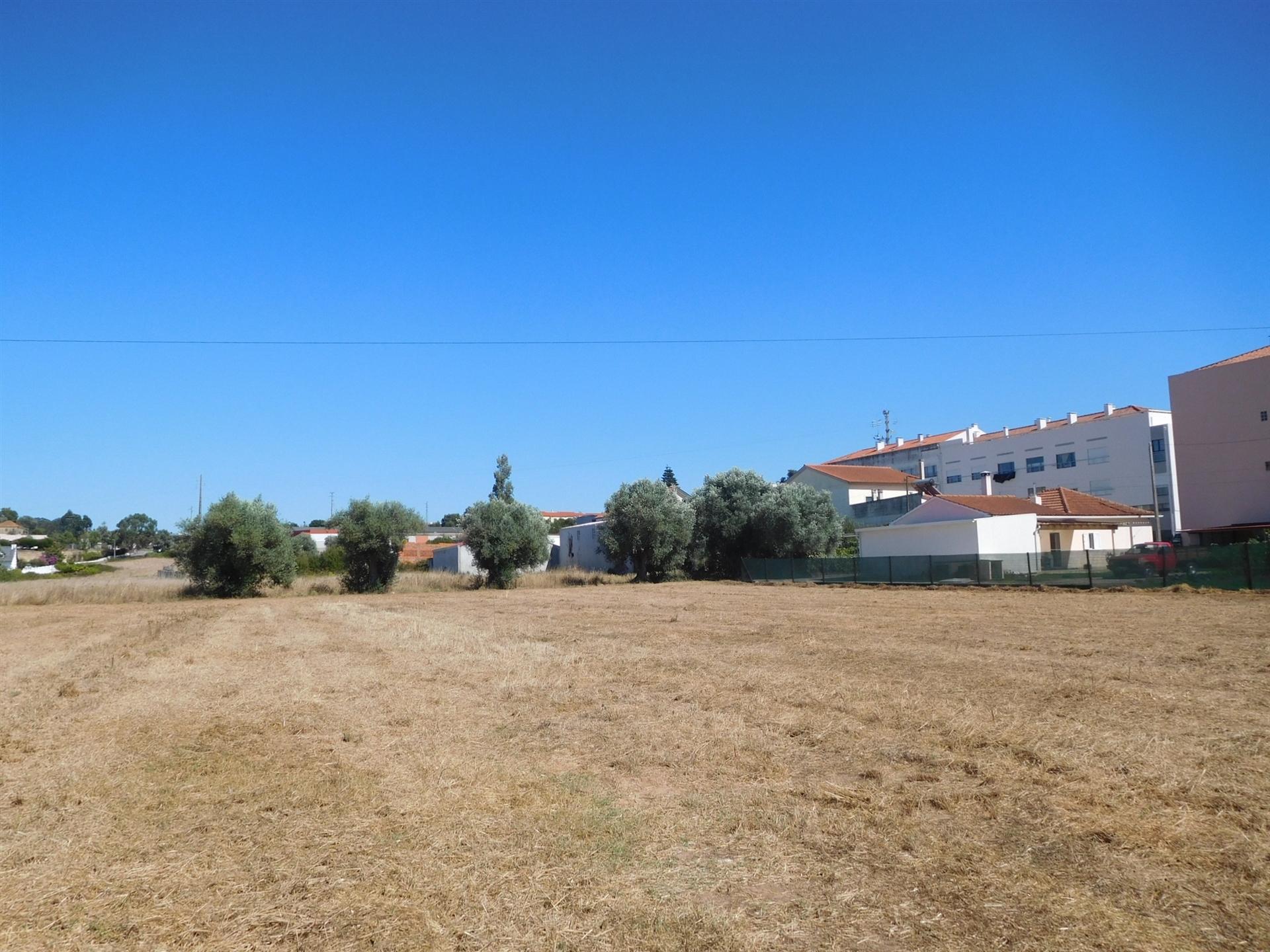 Terreno  Venda em Marrazes e Barosa,Leiria