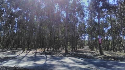 Terreno  Venda em Amor,Leiria