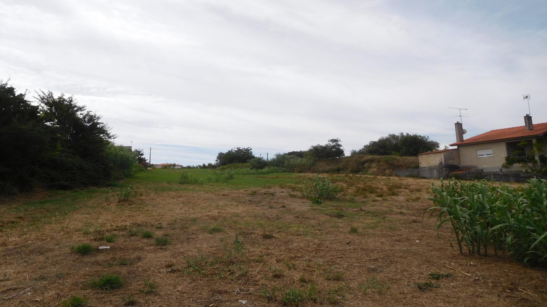 Terreno  Venda em Amor,Leiria