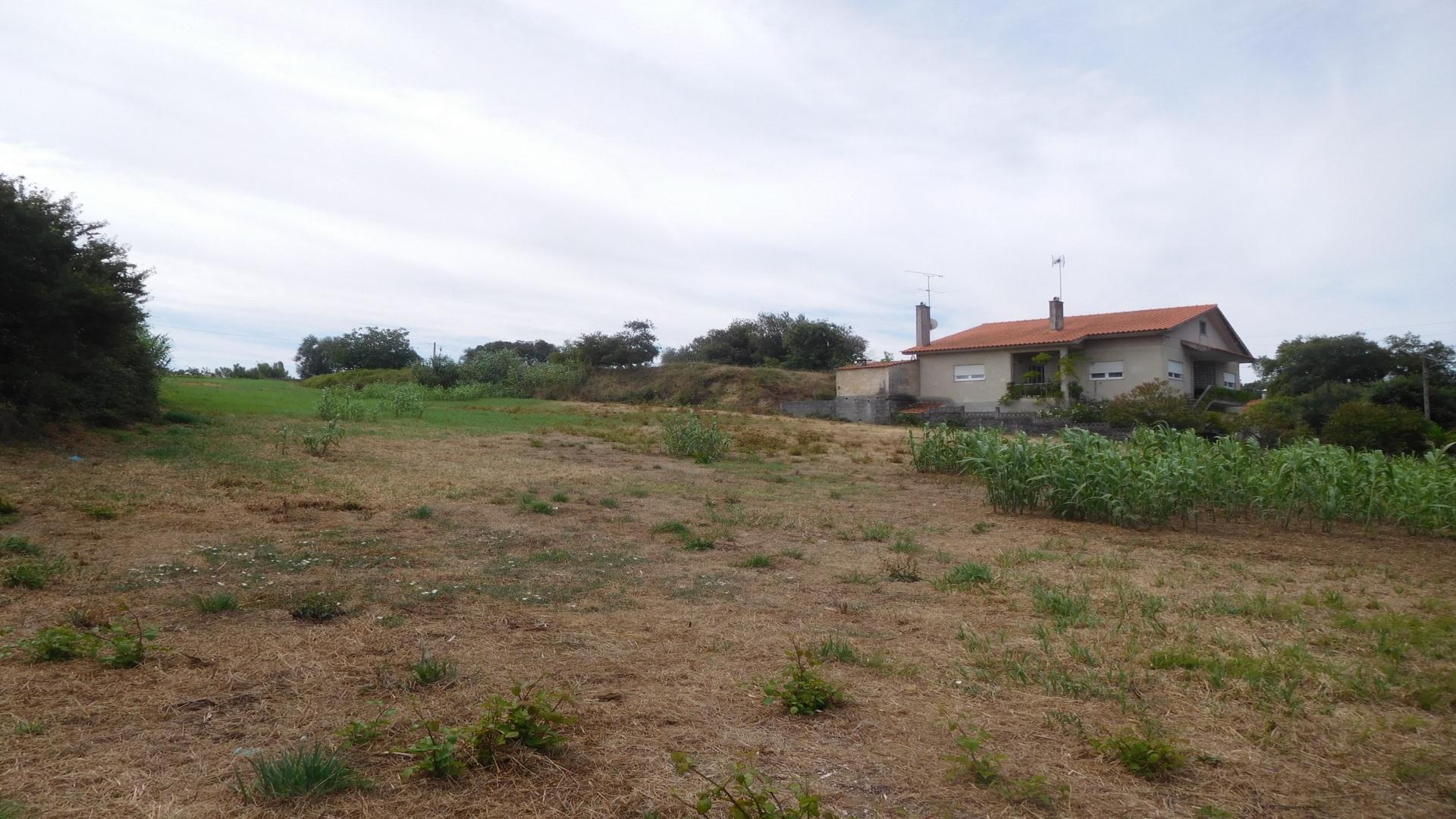 Terreno  Venda em Amor,Leiria