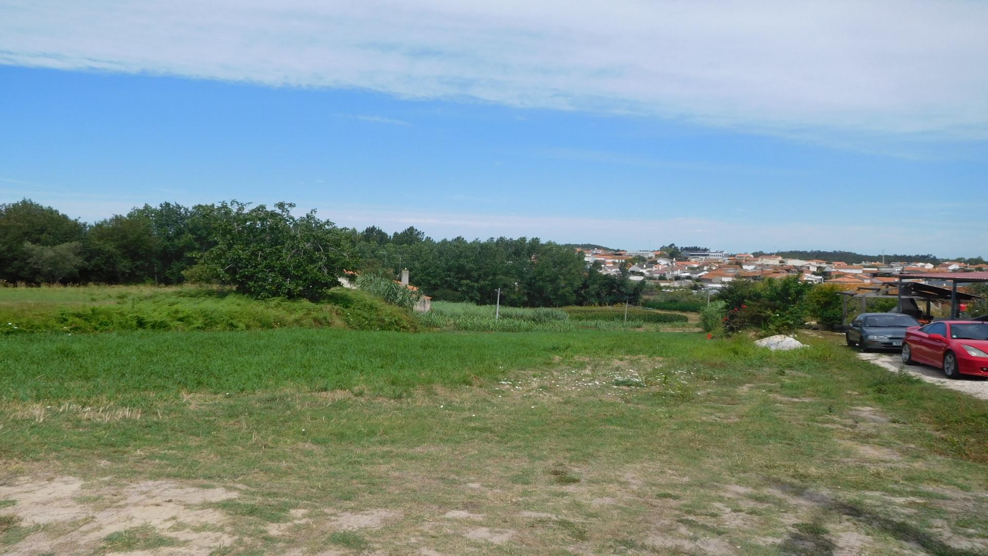 Terreno  Venda em Amor,Leiria