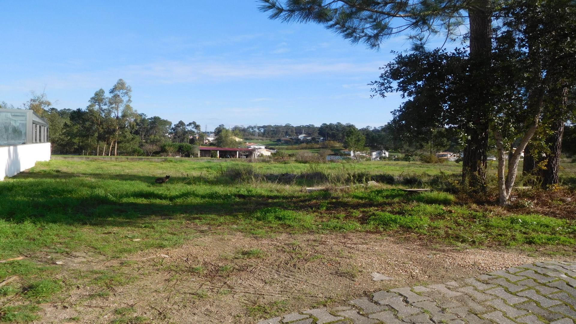 Terreno para construção, Marrazes