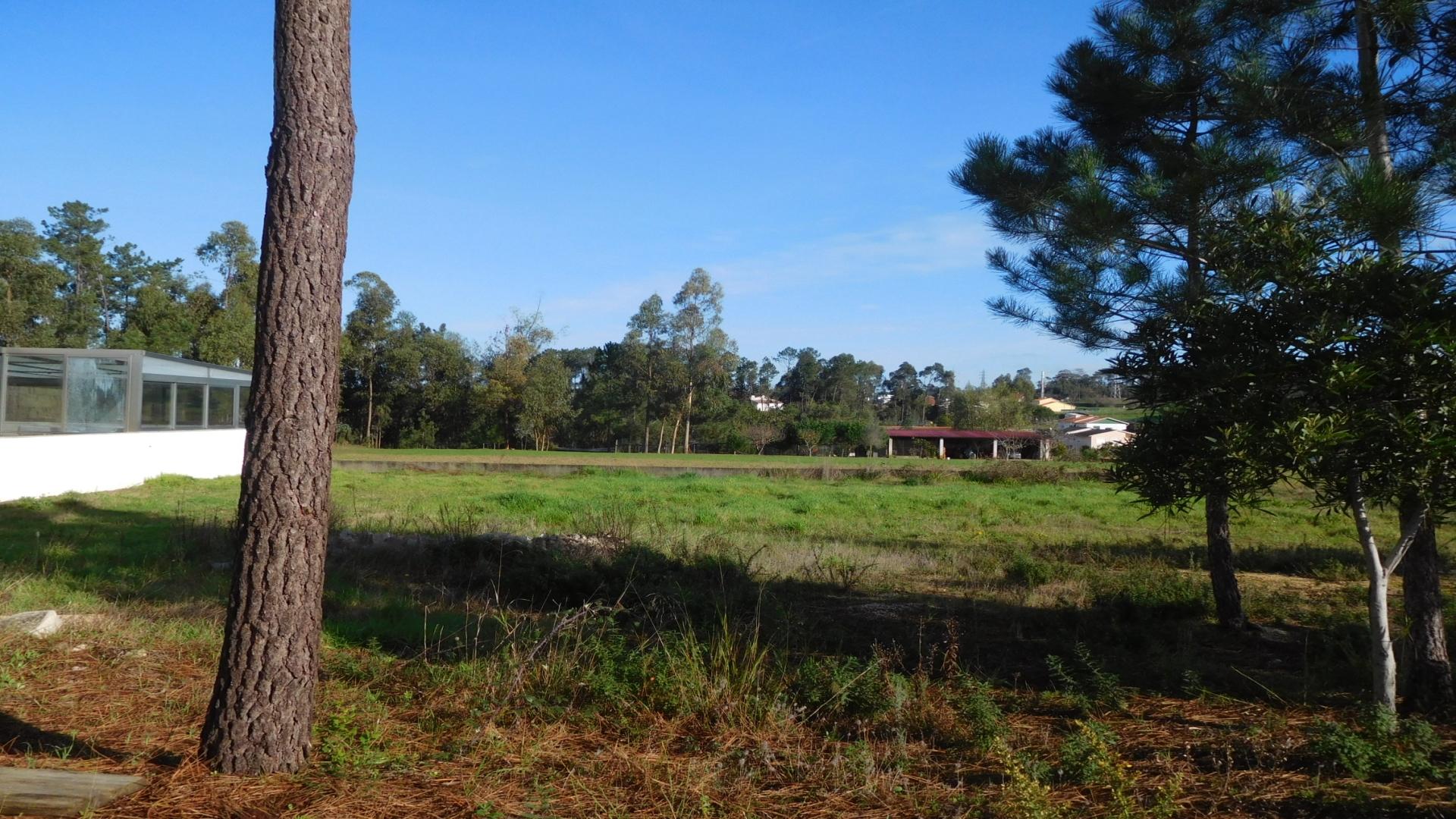 Terreno para construção, Marrazes