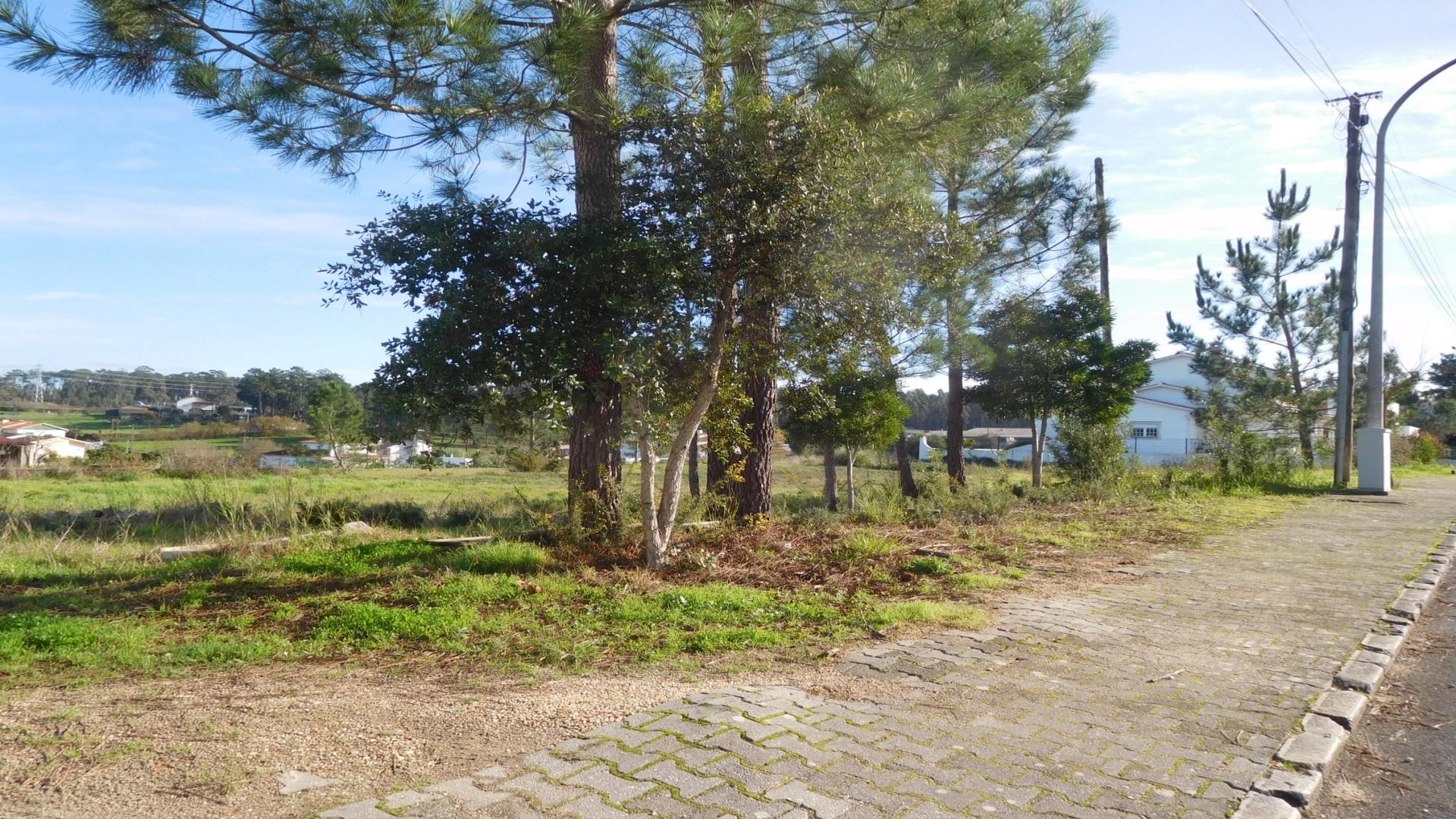 Lote para construção, Marrazes