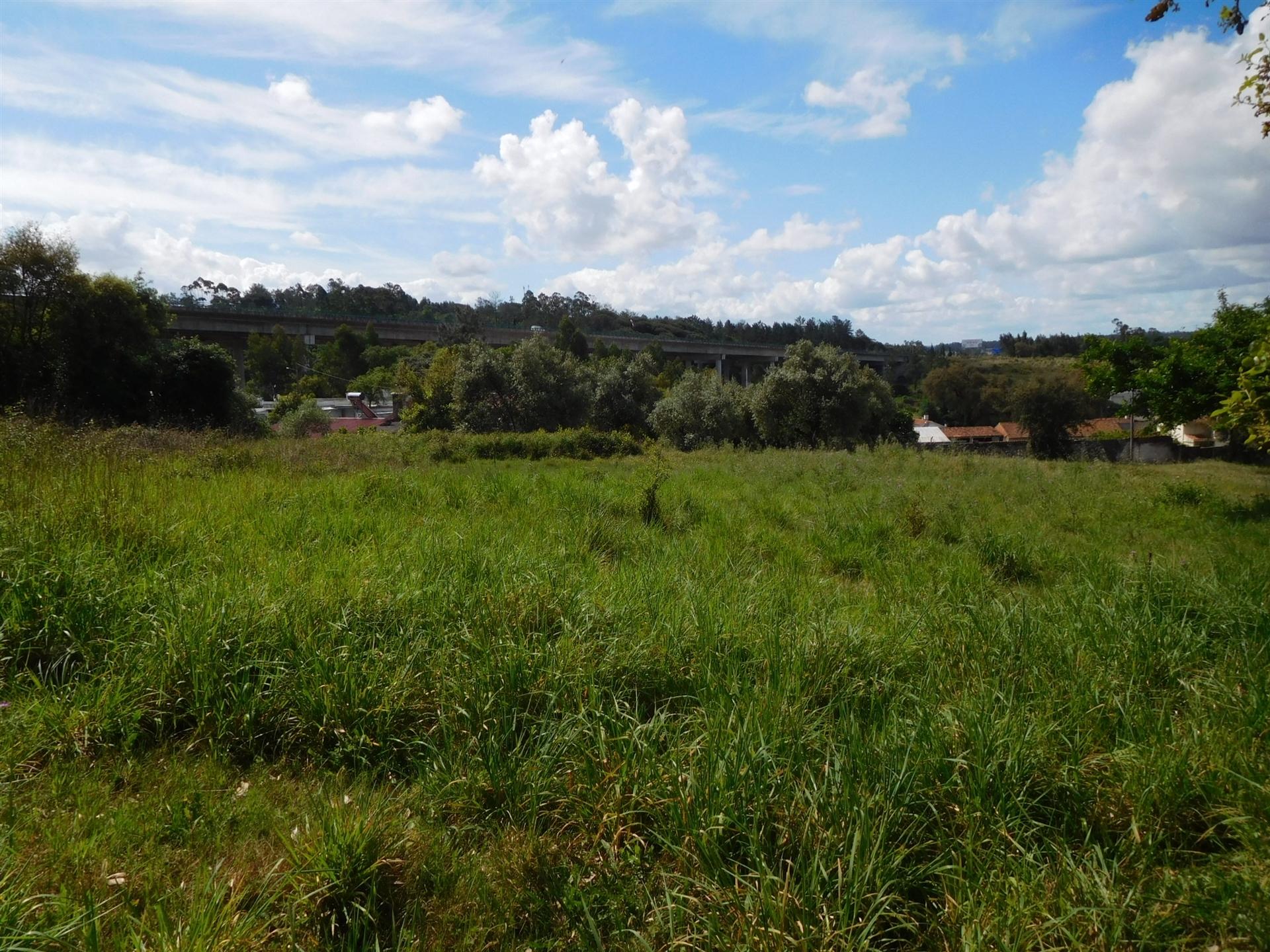 Terreno com 2400m2 em Várzeas / Ortigosa / Leiria