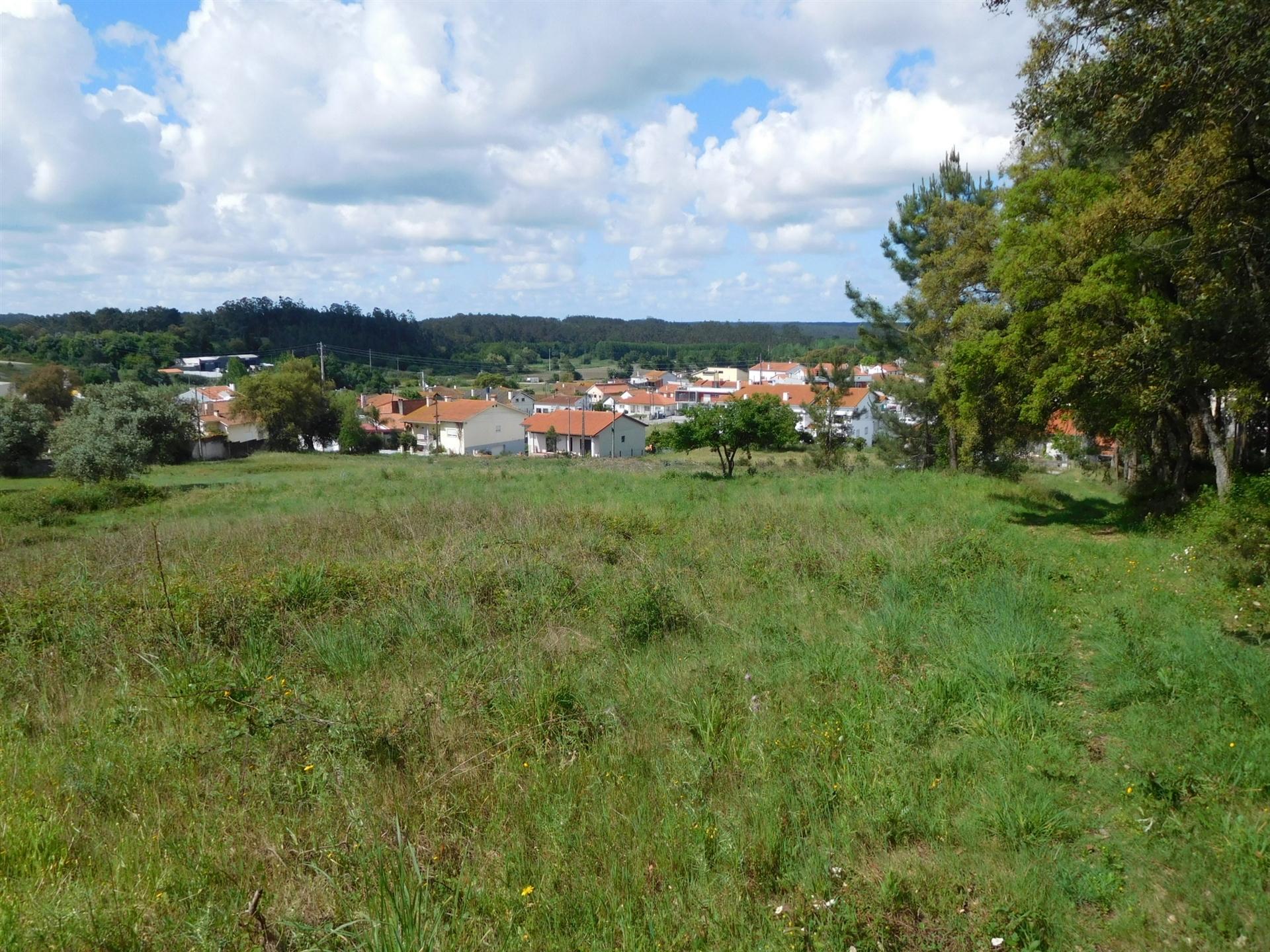 Terreno com 2400m2 em Várzeas / Ortigosa / Leiria