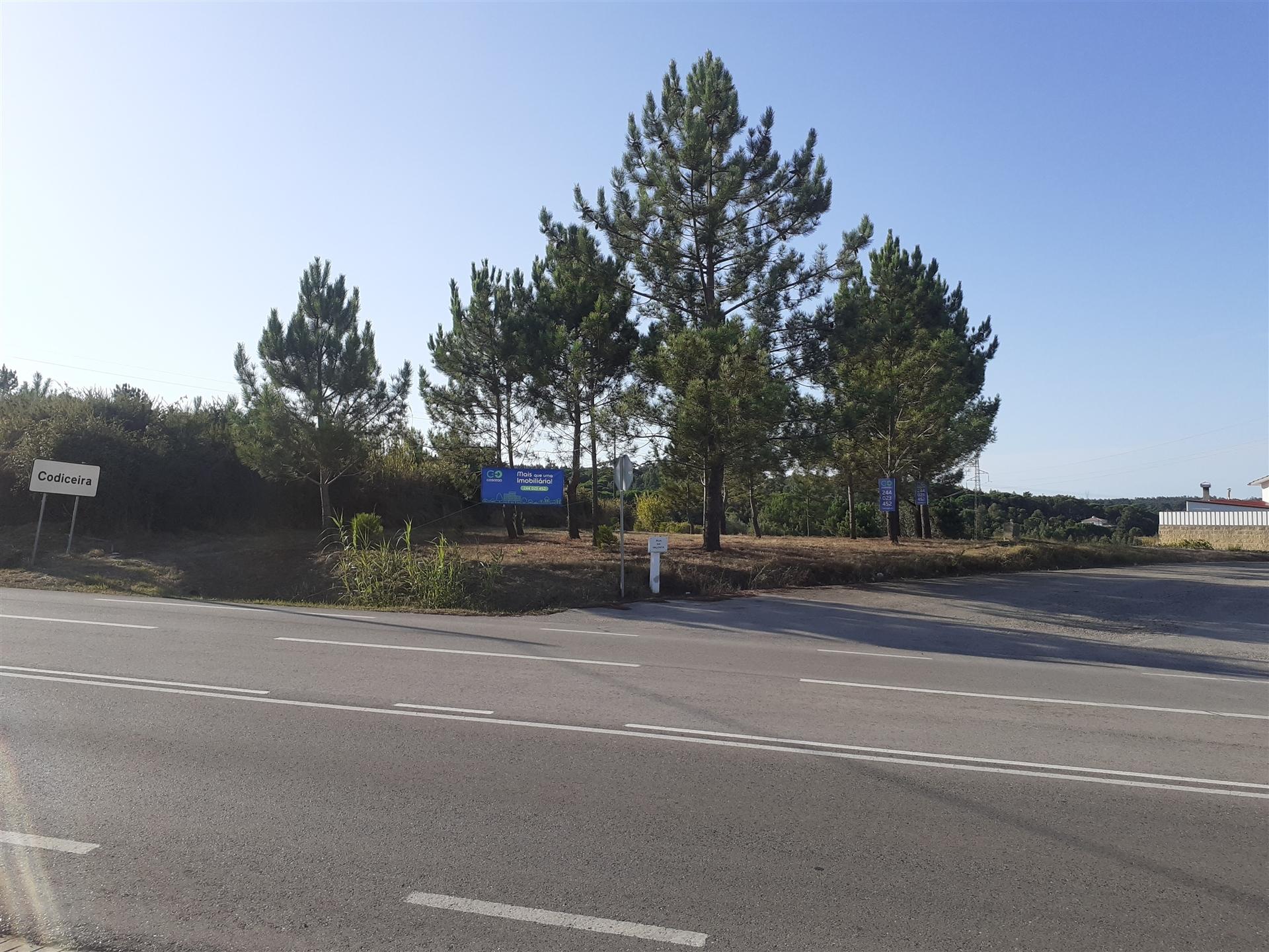 Terreno  para construção na estrada da Maceira