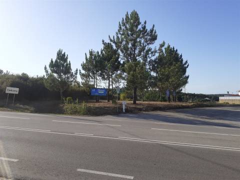 Terreno  para construção na estrada da Maceira