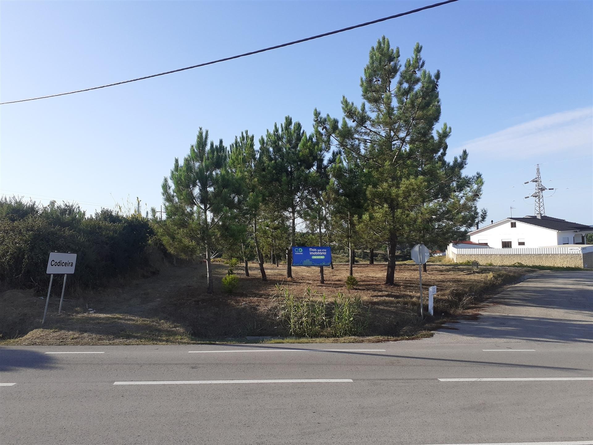 Terreno  para construção na estrada da Maceira