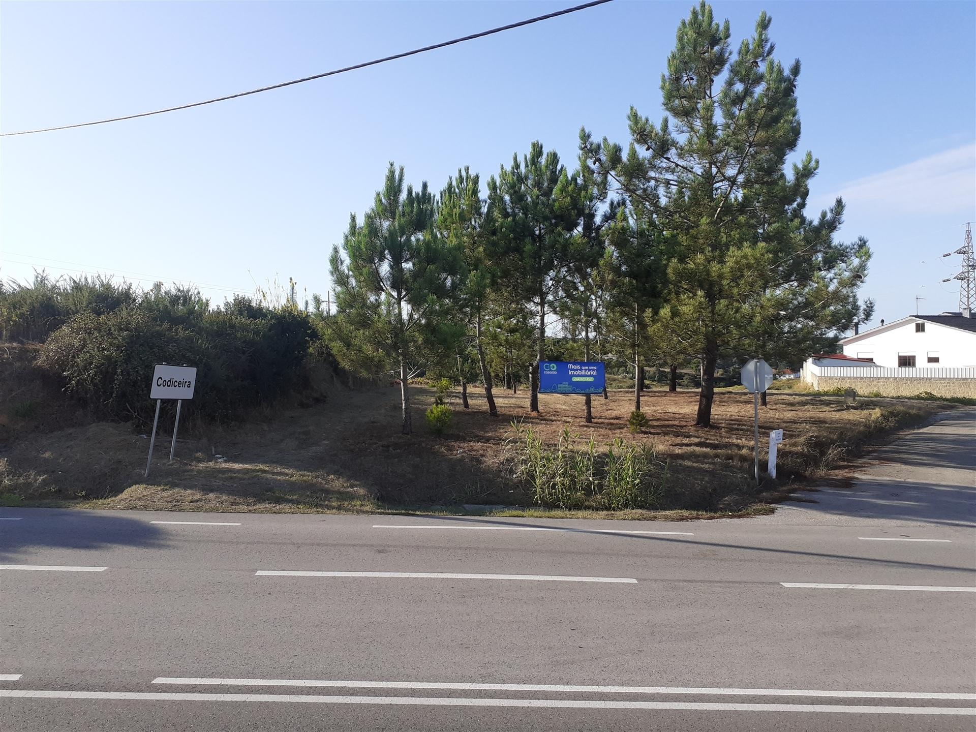 Terreno  para construção na estrada da Maceira