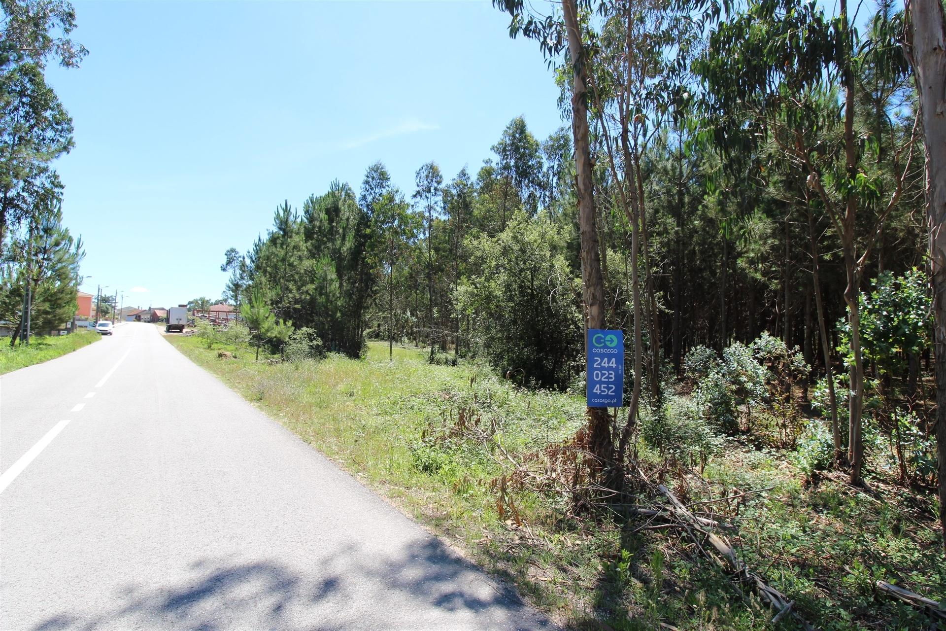 Terreno Para Construção  Venda em Souto da Carpalhosa e Ortigosa,Leiria