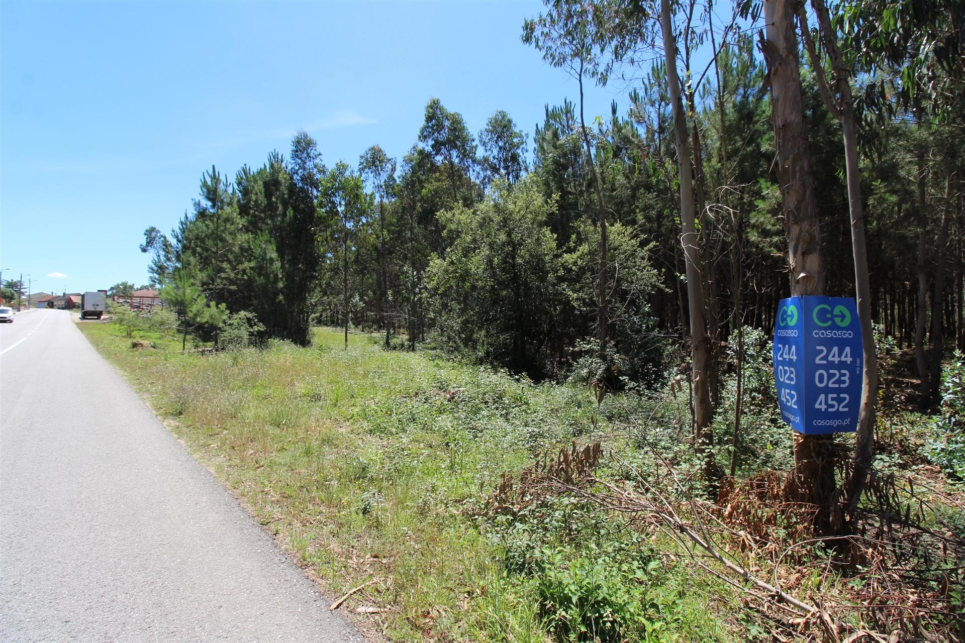 Terreno Para Construção  Venda em Souto da Carpalhosa e Ortigosa,Leiria