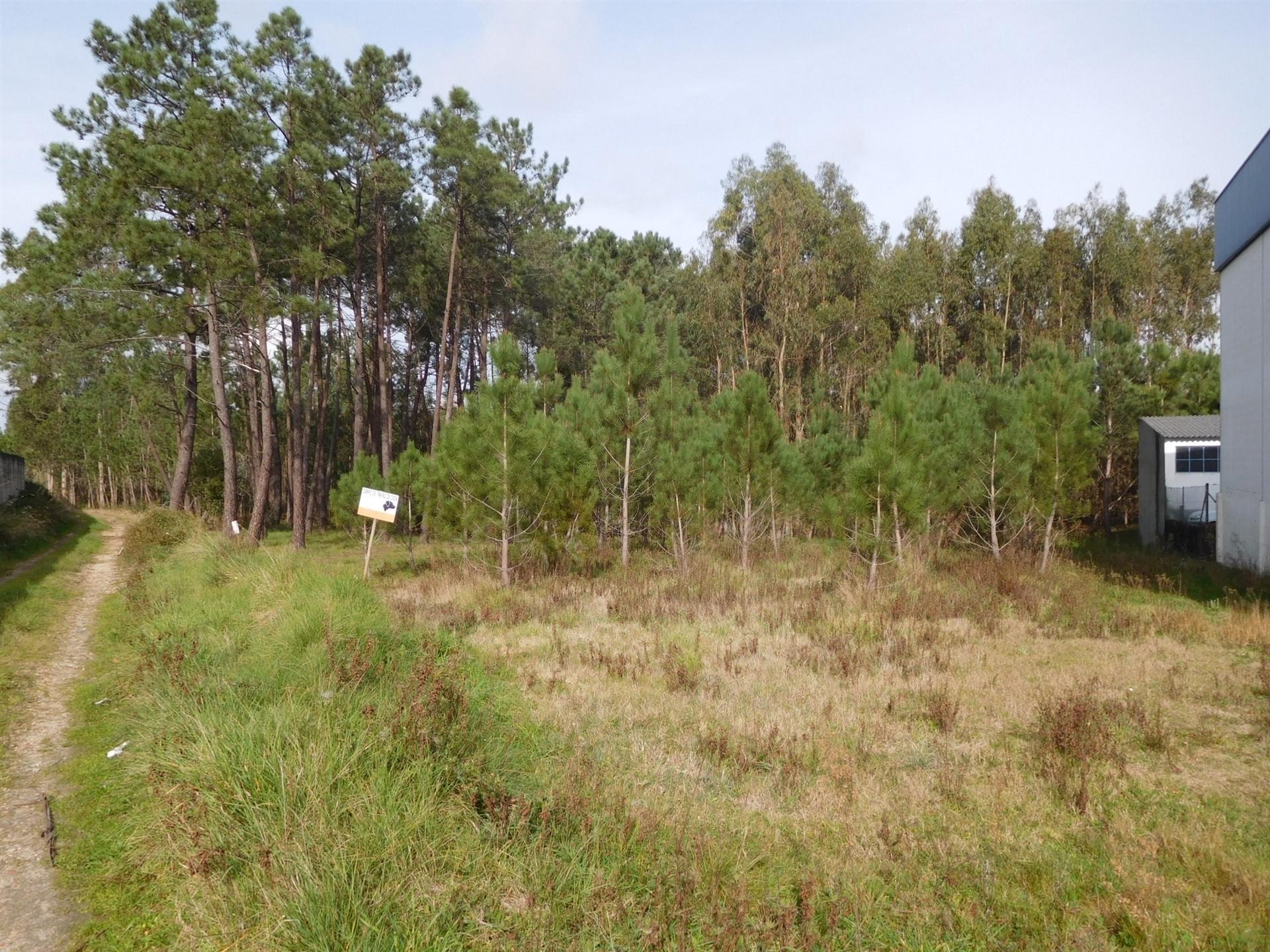 Terreno/Construção/Barosa/Leiria