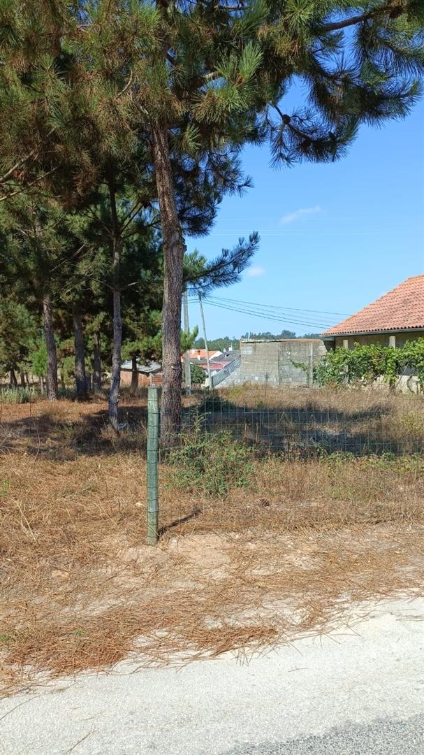 Terreno com 1.894 m2 / Amor / Leiria