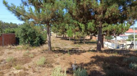 Terreno com 1.894 m2 / Amor / Leiria