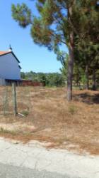 Terreno com 1.894 m2 / Amor / Leiria